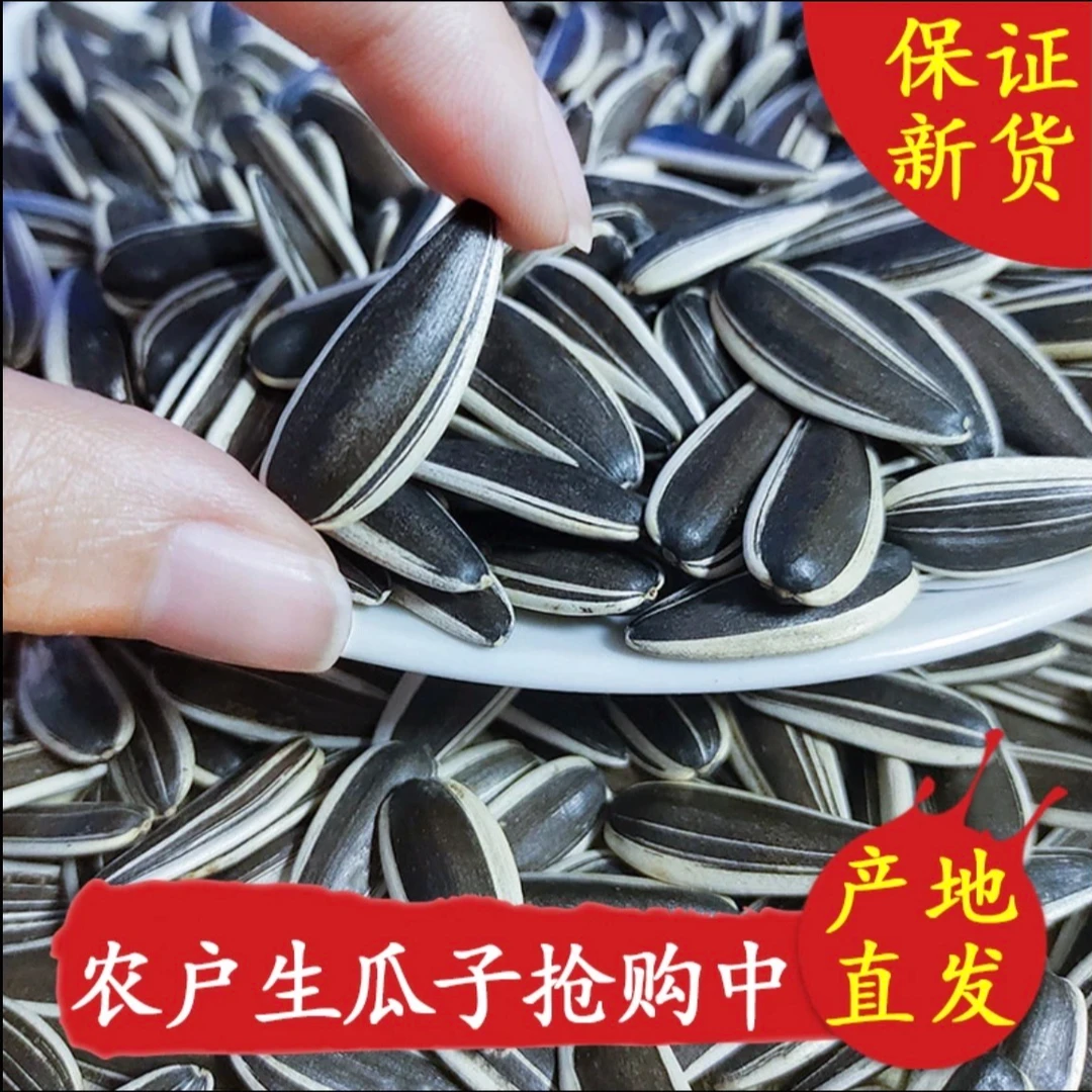 【买一斤送一斤】原味生瓜子内蒙新货葵花籽瓜子颗颗饱满满嘴留香