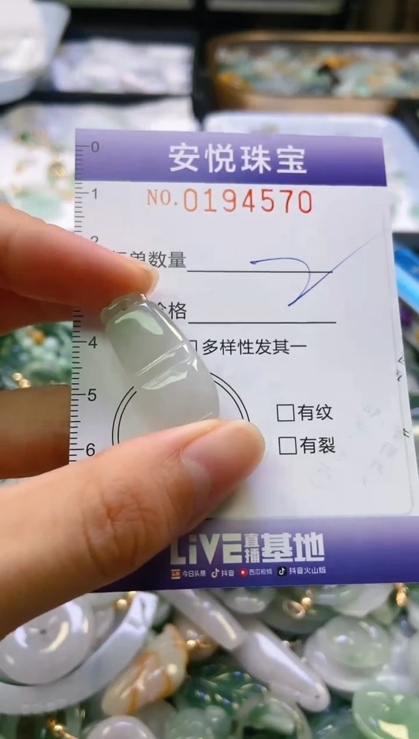 翡翠未镶嵌颈饰闪购0194570