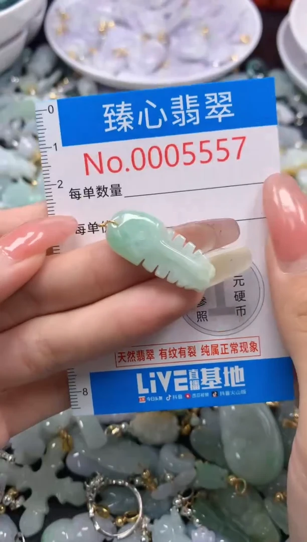 翡翠未镶嵌颈饰5557