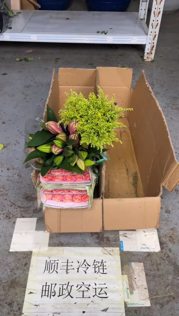 朱小姐20枝+双头红百合10枝+黄莺