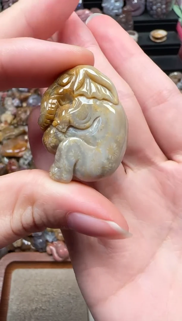 颈饰未镶嵌硅化珊瑚（珊瑚玉）750