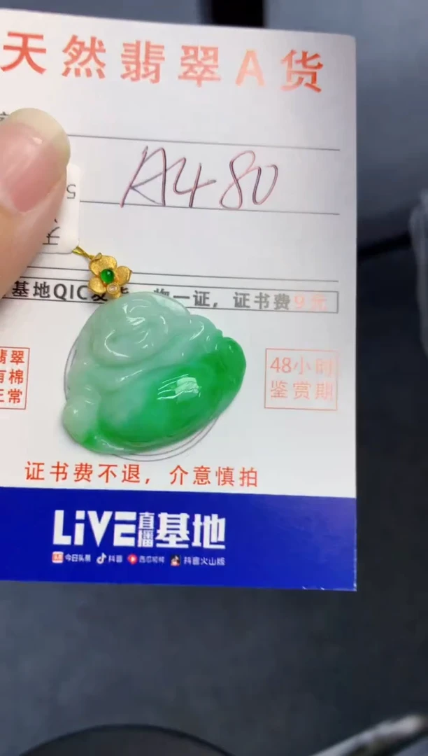 颈饰18K金镶嵌翡翠天然缅甸A货翡翠百元以上9元证书费自理