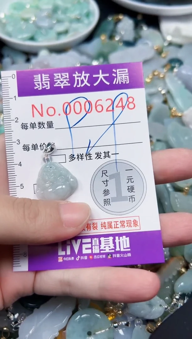 颈饰未镶嵌翡翠6248