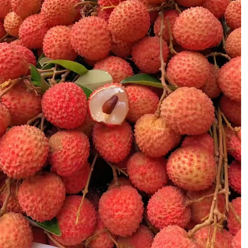 (5斤)现摘灵山桂味荔枝广西壮族自治区