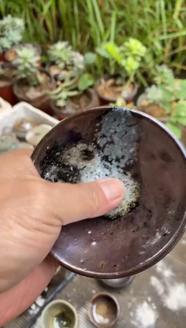 浪鬼柴烧肚**圆龙窑系列 杯 微瑕