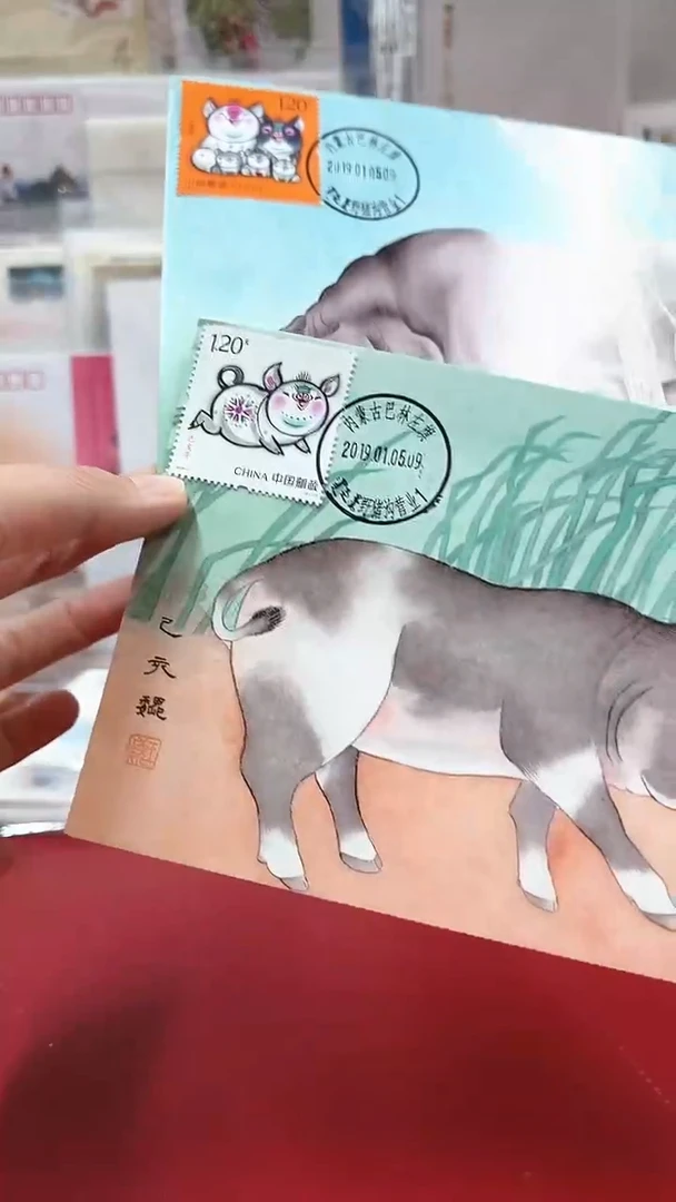 生肖猪   极限片