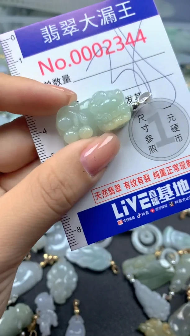 颈饰未镶嵌翡翠2344