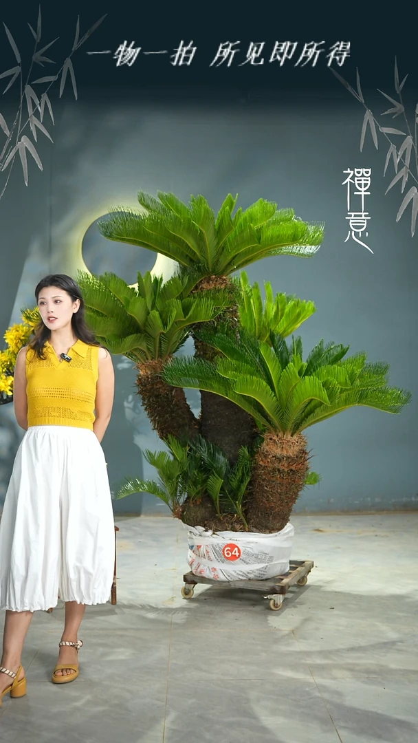 无花朵江****司1111111111111111111