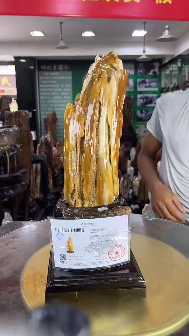 未镶嵌珠宝奇石硅化玉缅甸天然树化玉摆件