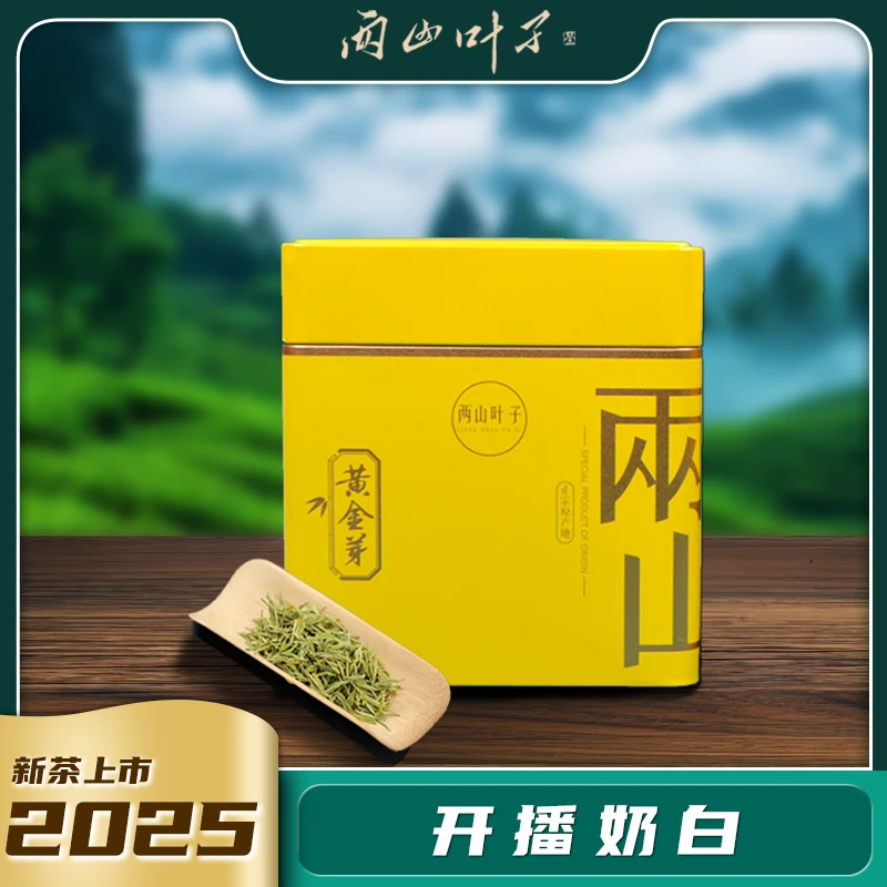 【开播奶白】2025新茶开播皇金芽安吉白茶夏日锁鲜冷泡
