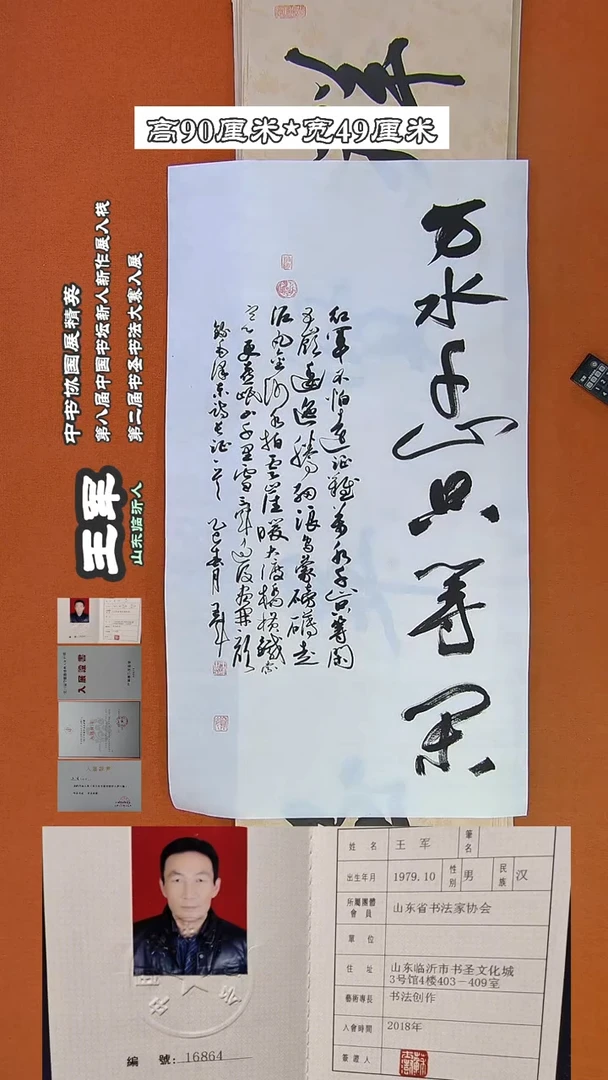 【闪购商品】书法161a王军书法作品