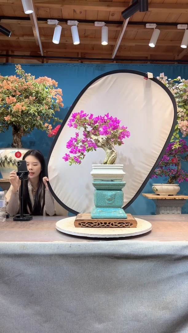 少量花朵（建议范围：2朵-5朵 或40%以下）1***1小叶紫