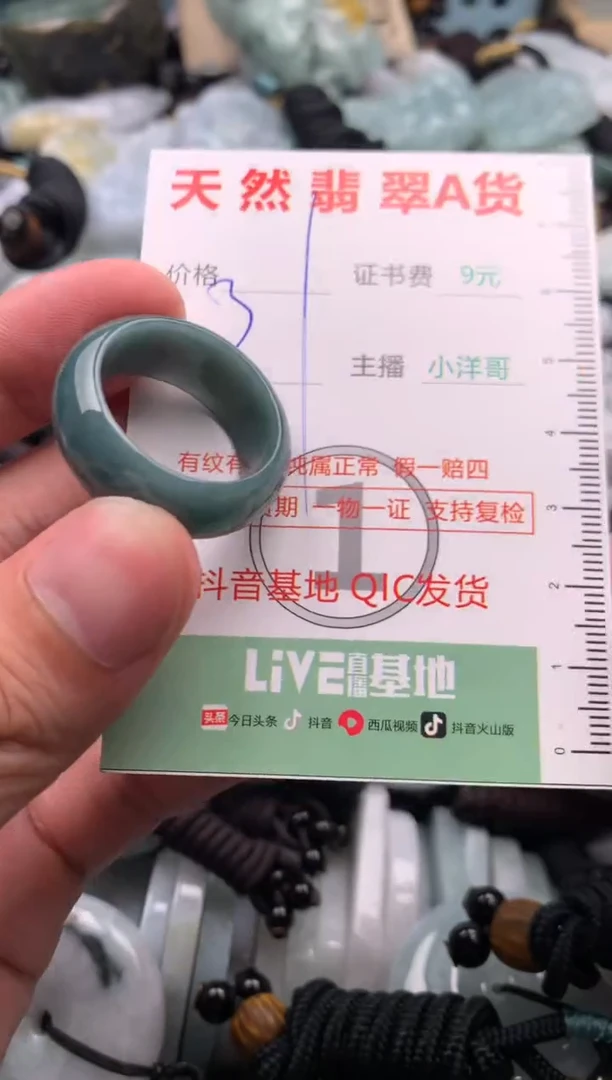 翡翠未镶嵌吊坠(不含链)1