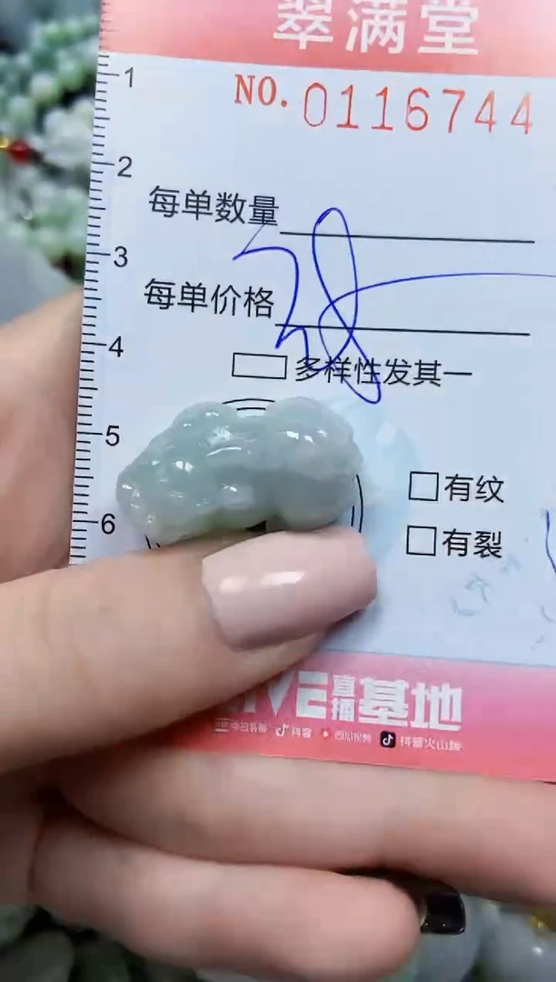 【闪购商品】翡翠颈饰未镶嵌闪购0116744