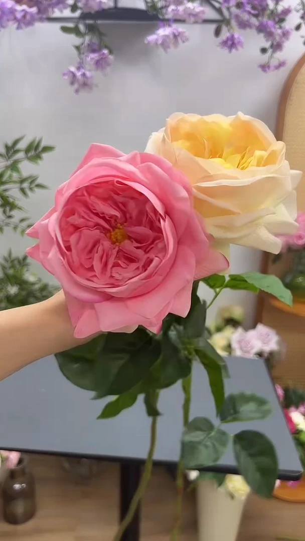 1枝粉色1枝香槟色手感保湿朱丽叶