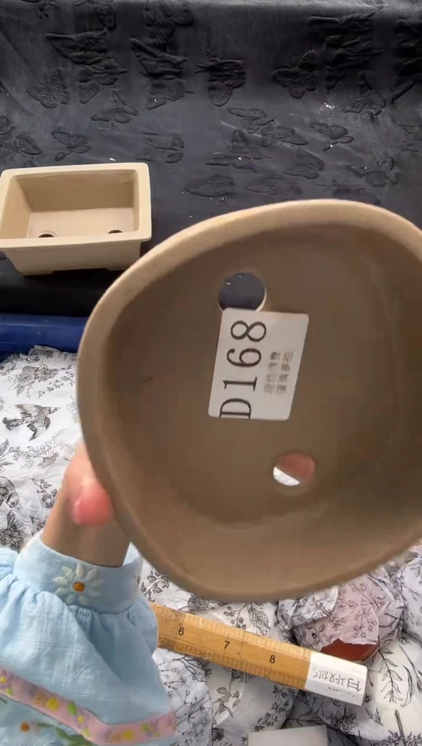 瓷片半**姐       D168