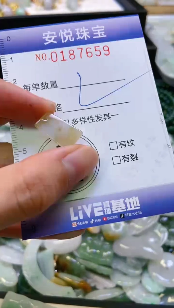 翡翠未镶嵌颈饰闪购0187659