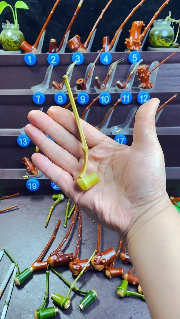 木梁****来檬子木的精品小斗