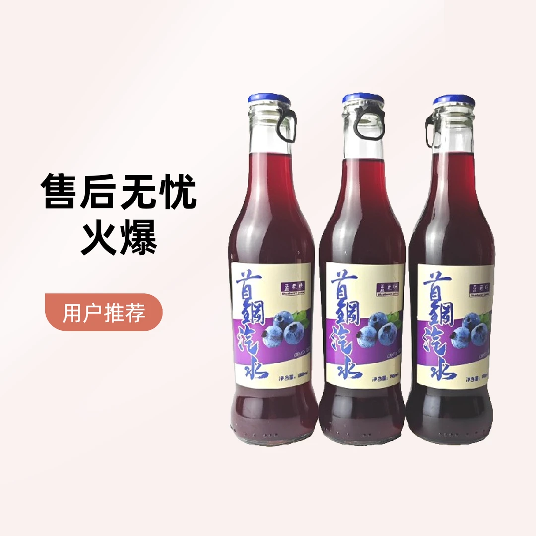 首钢汽水*12瓶装（蓝莓味）