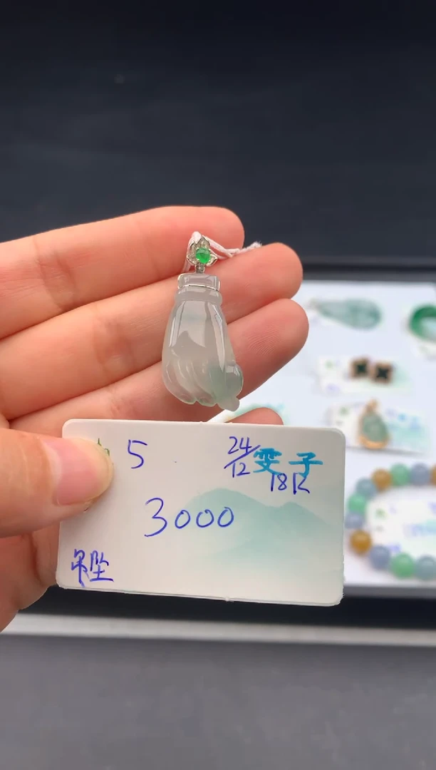 颈饰未镶嵌翡翠翡翠自带#送人#，假一赔三