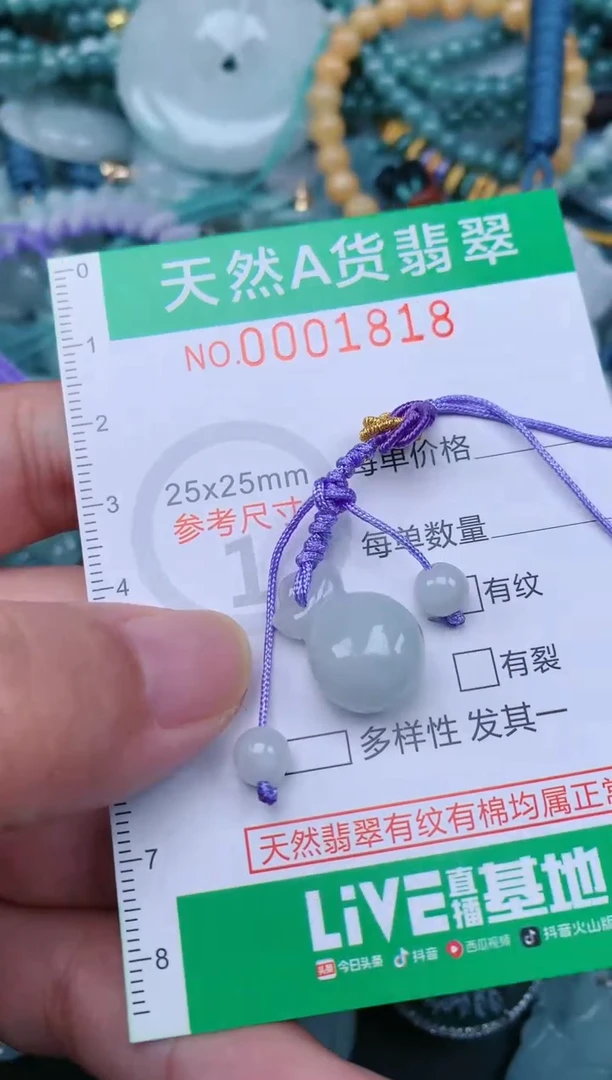 翡翠未镶嵌颈饰.0001818