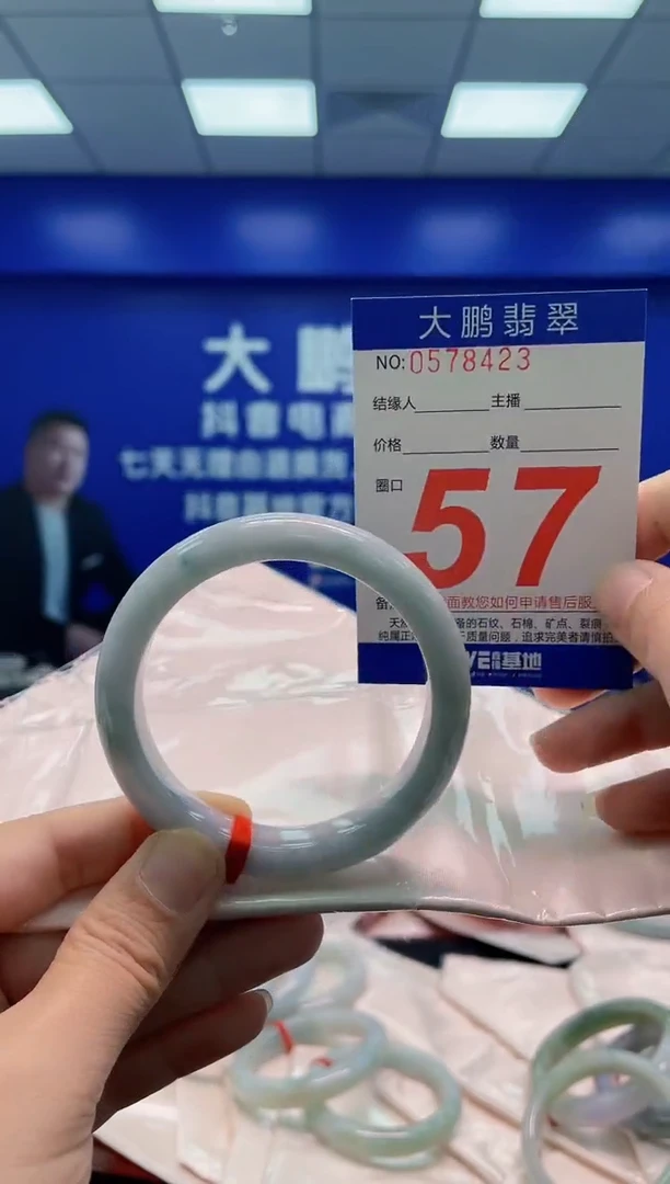 未镶嵌手镯翡翠AAAAAAAAA