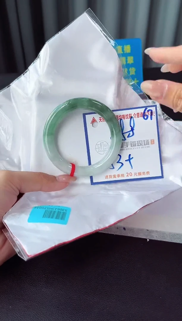 未镶嵌手镯翡翠11111