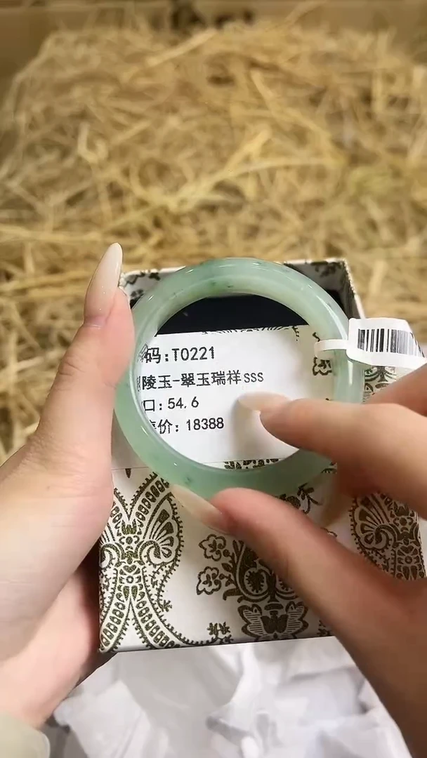 未镶嵌手镯石英质玉T0221