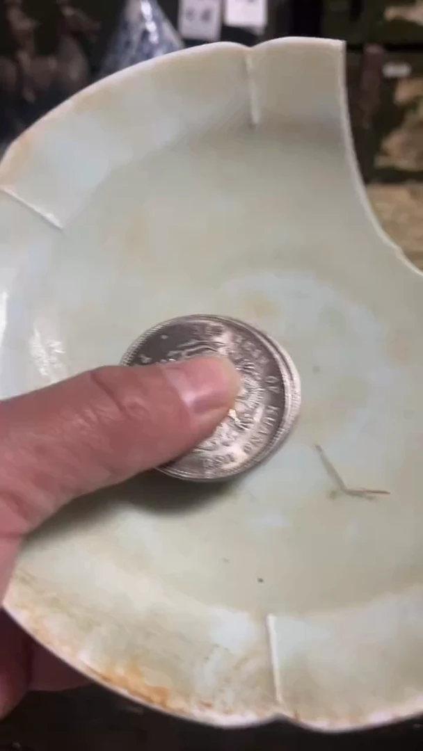 瓷片主播推荐好物