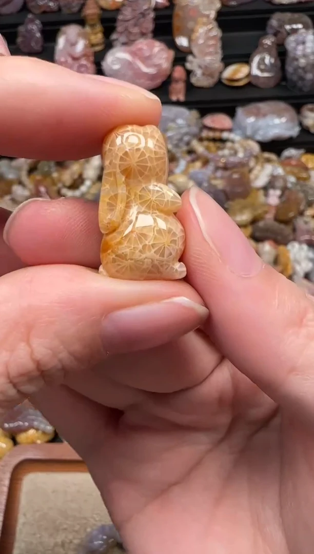 颈饰未镶嵌硅化珊瑚（珊瑚玉）638