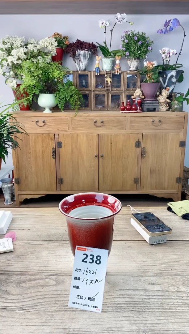 小玩子花盆直播编号238