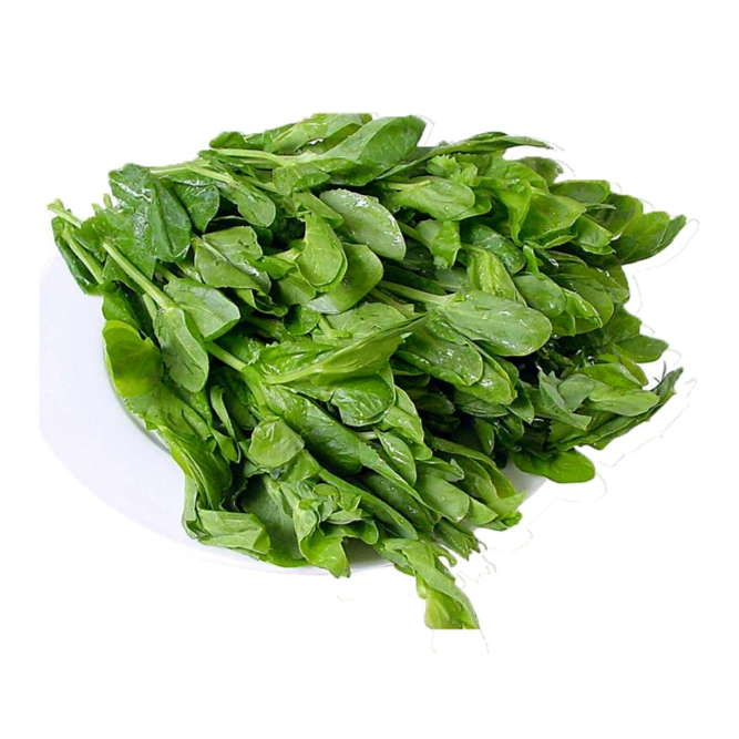 豌豆尖250g豌豆尖