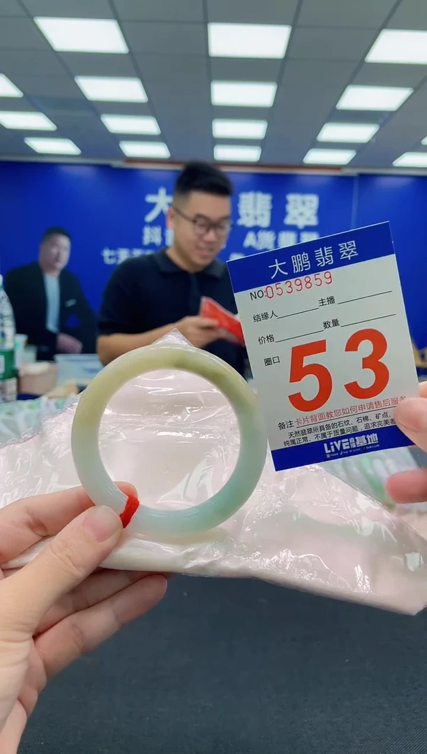 未镶嵌手镯翡翠AAAAAAAAA