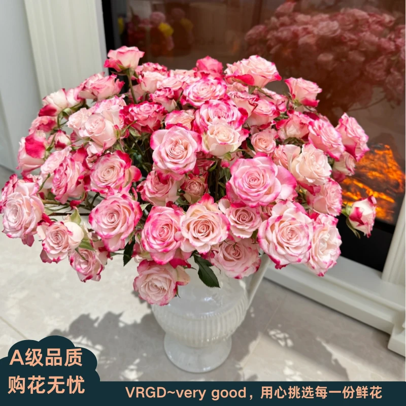 A级折射泡泡多头玫瑰VRGD臻选品质基地直发顺丰包邮