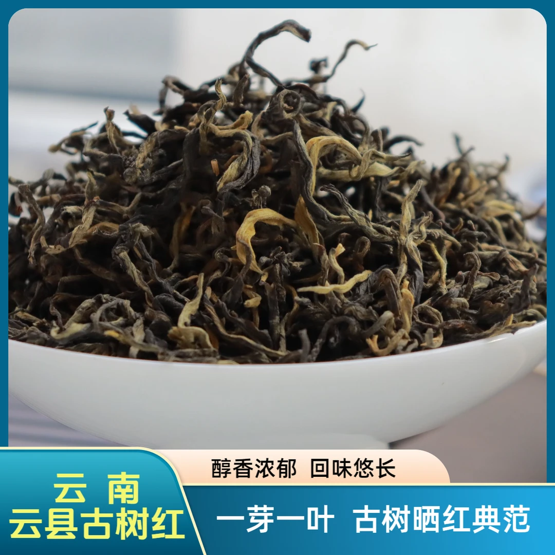 2025年 云南古树晒青红茶-头春头采古树纯料