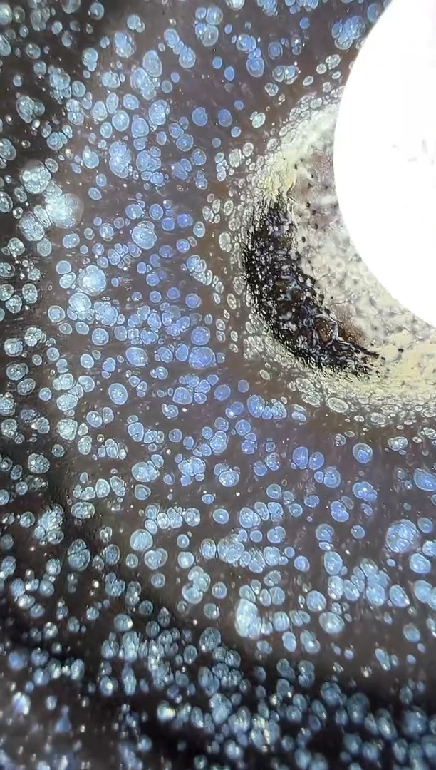 茶盏53双和龙窑赖晓波开窑1280