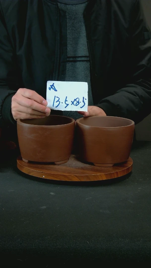 【闪购商品】紫砂N22