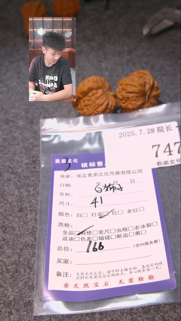 文玩核桃把件景*白狮子747表弟文化