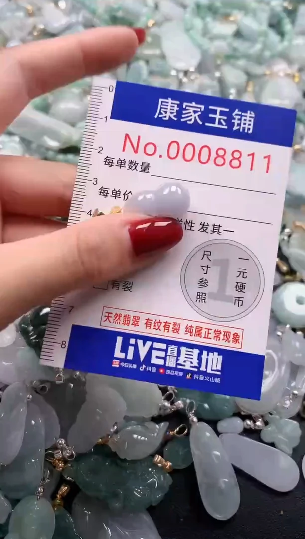 颈饰未镶嵌翡翠8811