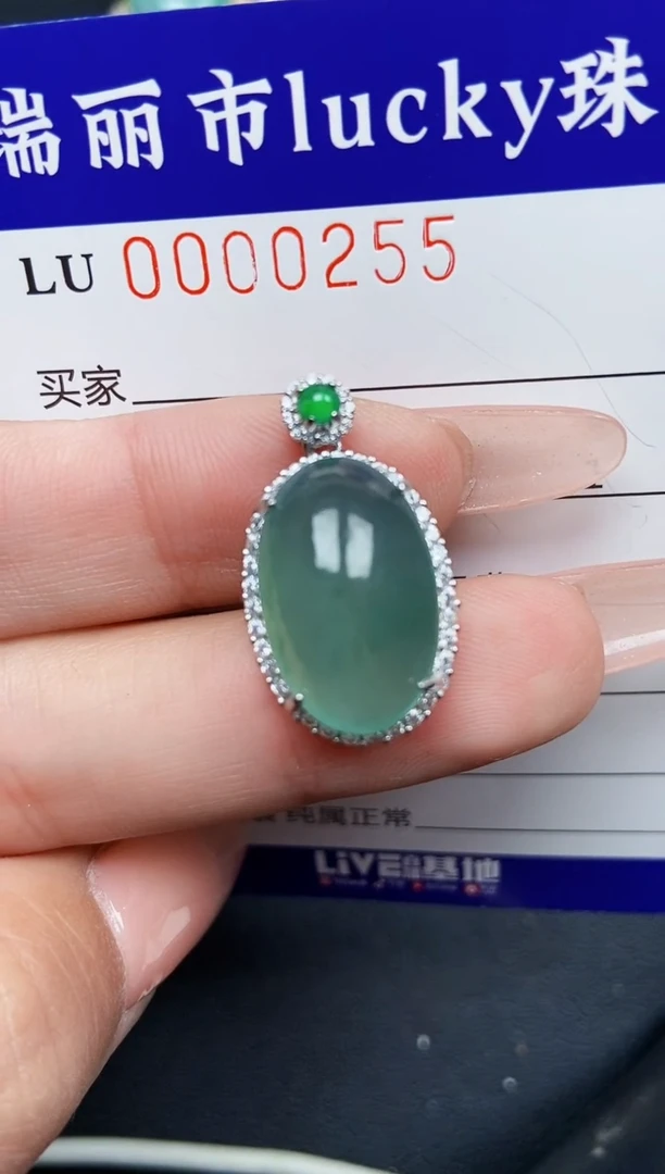【闪购商品】翡翠颈饰银S925镶嵌0255