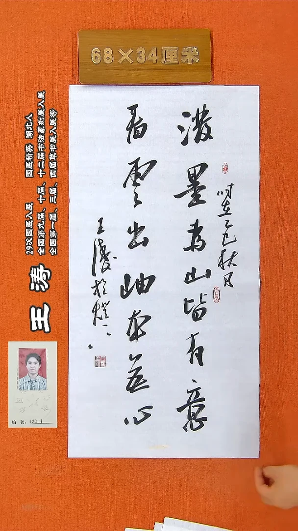 书法115王涛书法作品