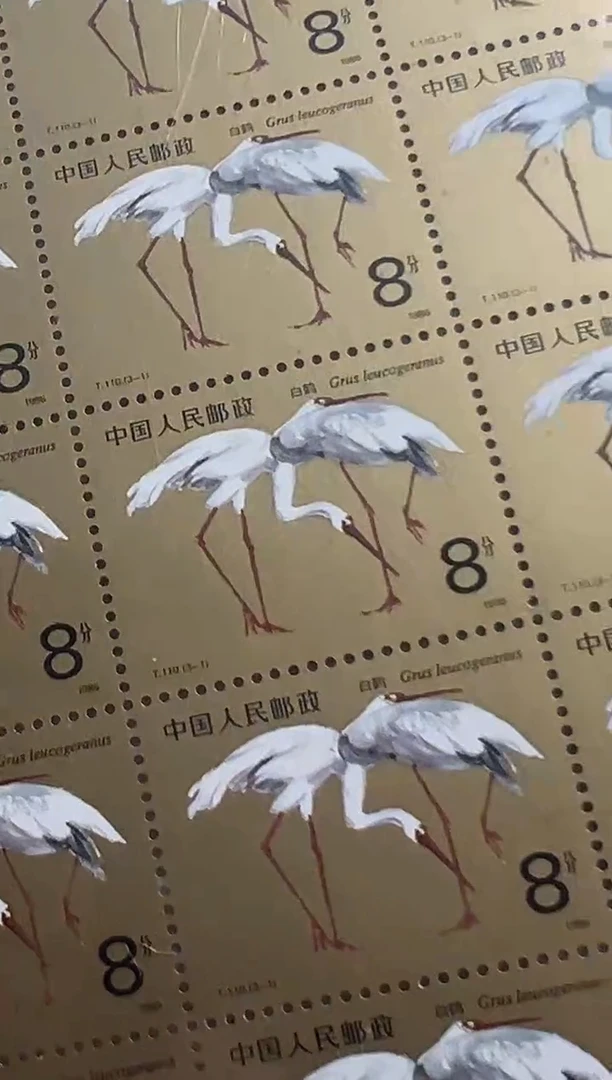 【闪购商品】T110 白鹤 大版 邮票 封装评级