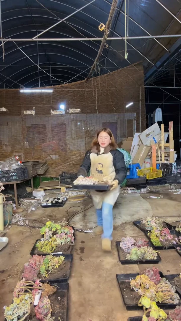 【闪购商品】42号一物一拍默认微瑕不售后