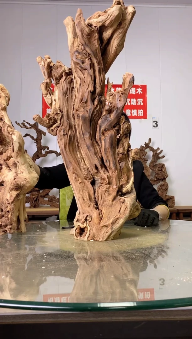 【闪购商品】木88金丝红木 羊蹄甲