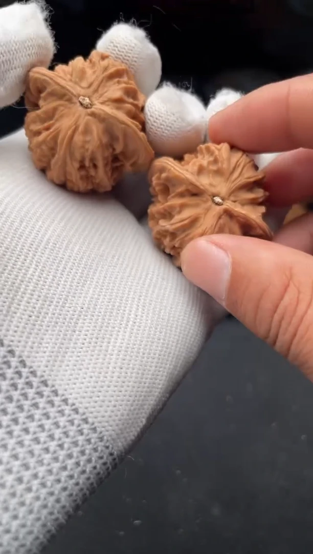 核桃w59  盘龙纹 39尺