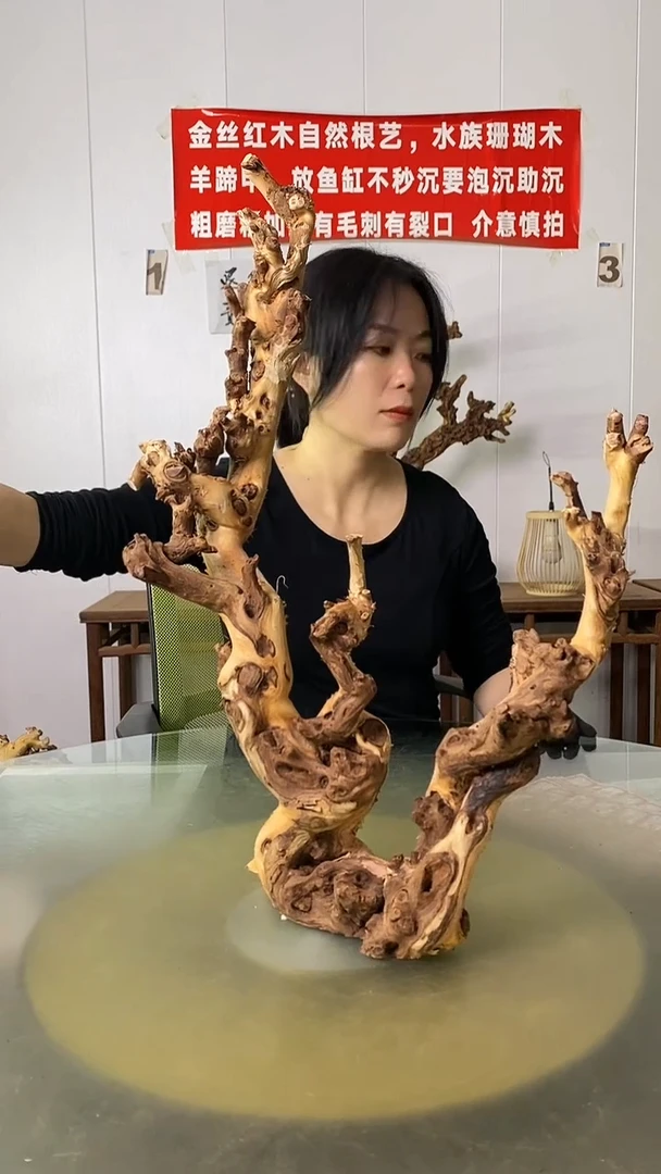 木用****树金丝红木 羊蹄甲