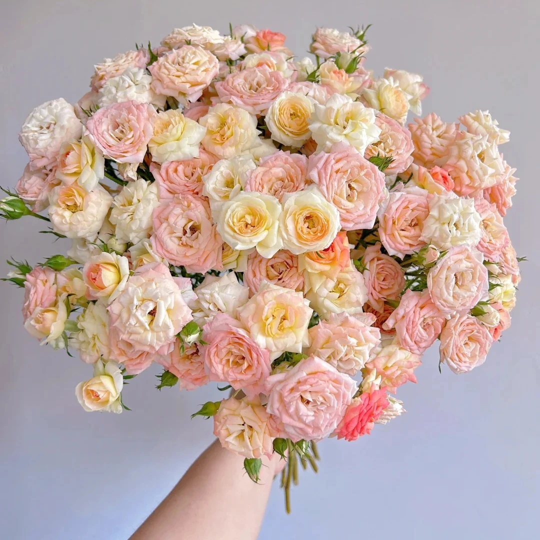 簪花笑，多头玫瑰，1单冷链包邮，2单升级顺丰冷链，远的发德邦