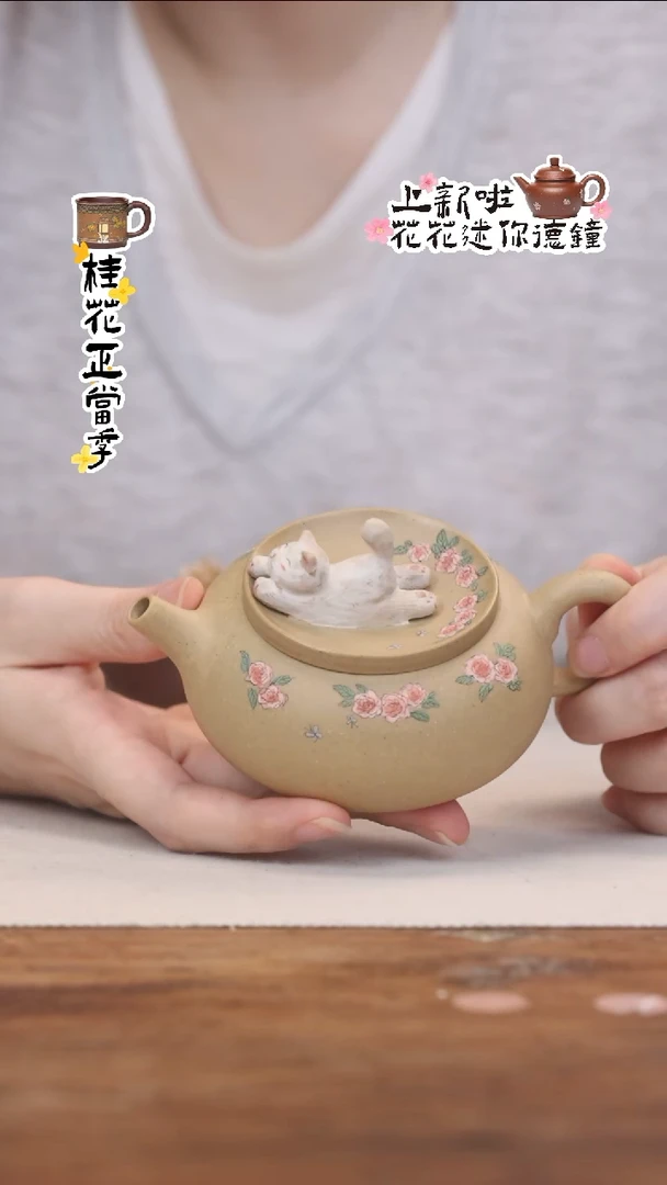 茶壶紫砂段泥玫瑰猫咪泡汤壶