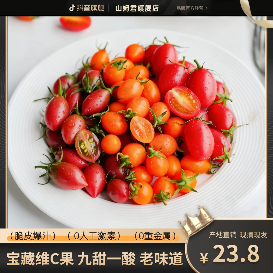 福建碱地紫弹头小番茄新鲜采摘圣女果酸甜脆口多汁西红柿孕妇水果