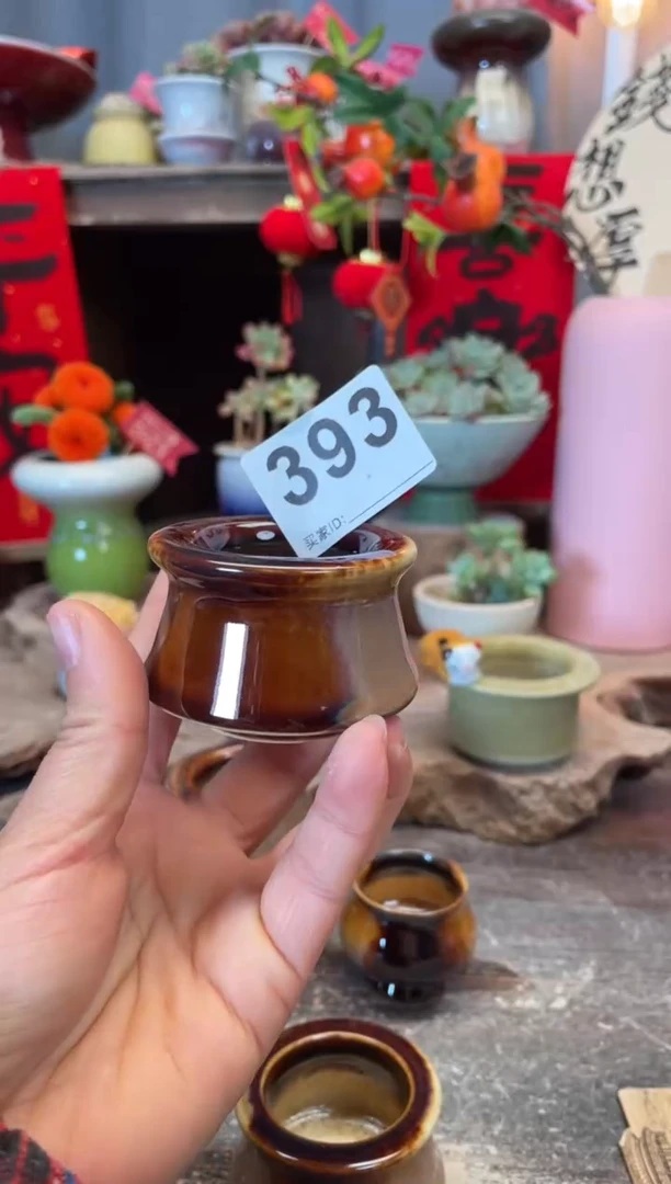 【闪购商品】摆件393知木小芳花盆